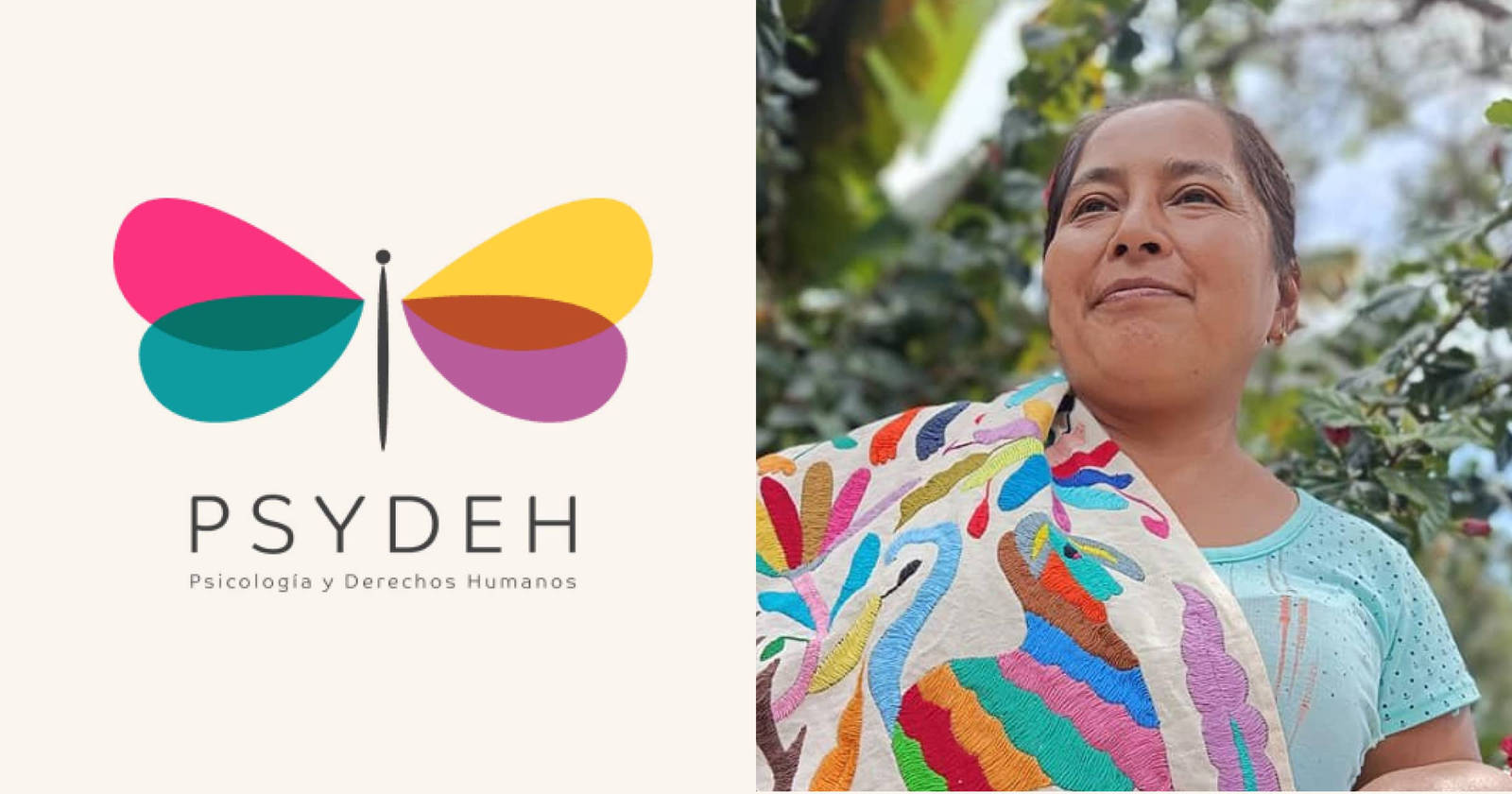 Psicologia Y Derechos Humanos Psydeh, Ac logo